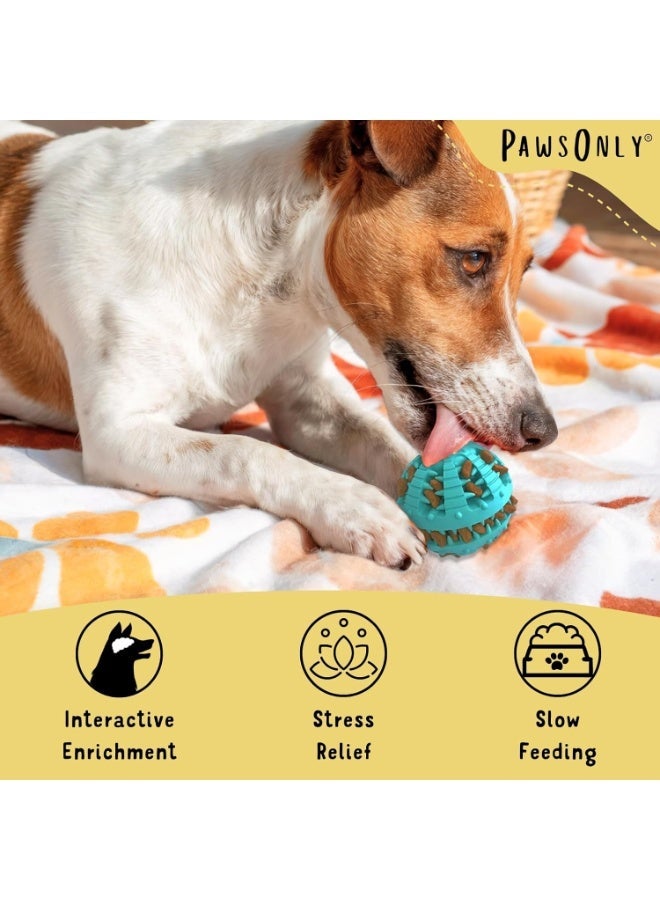 كرة دينتال فن بنكهة النعناع المنعشة - لعبة مضغ وتنظيف للكلاب - قطر 8 سم - Image 5